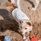 Gom Gom Cooling Dog Tank Top