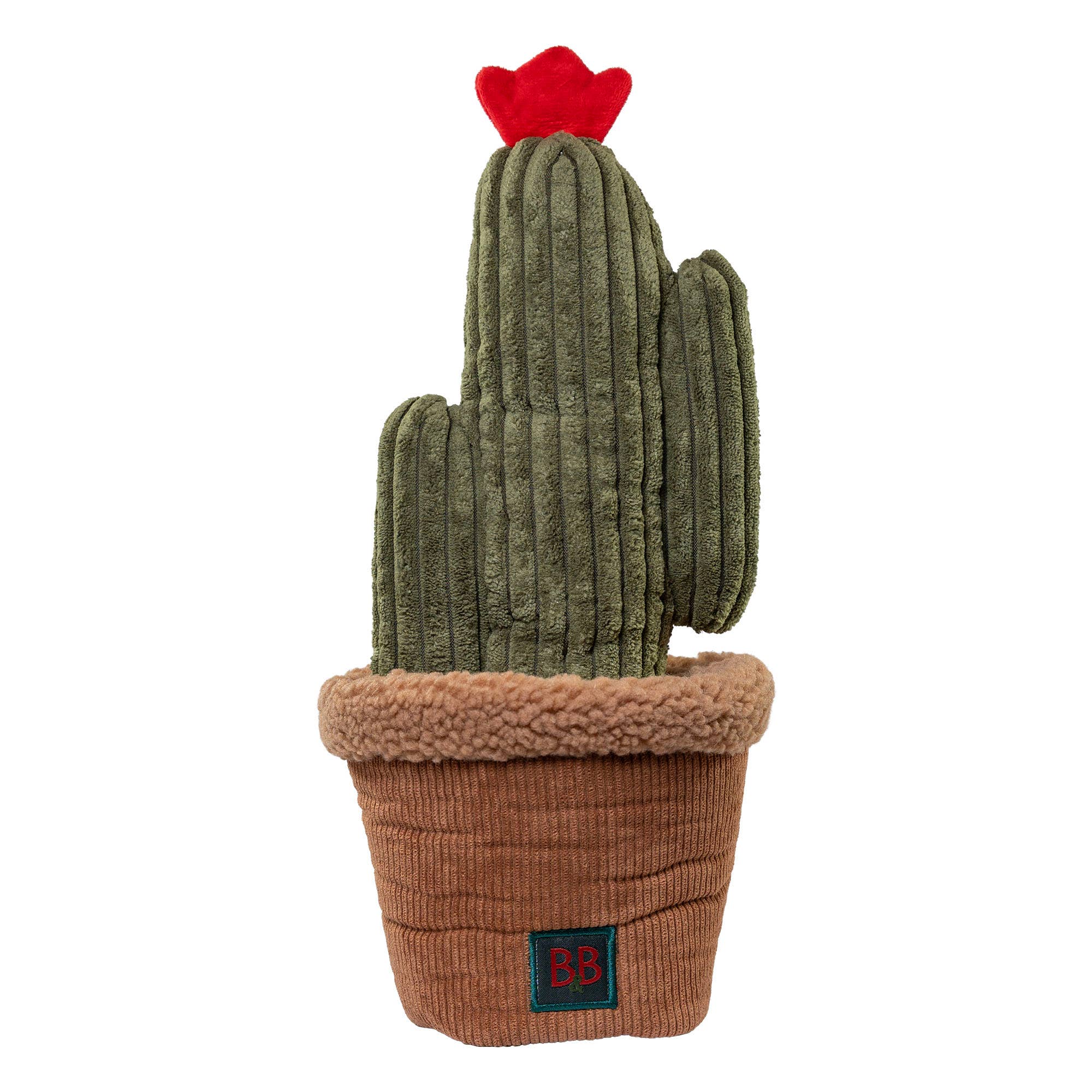 Cactus activity toy and snuffle mat
