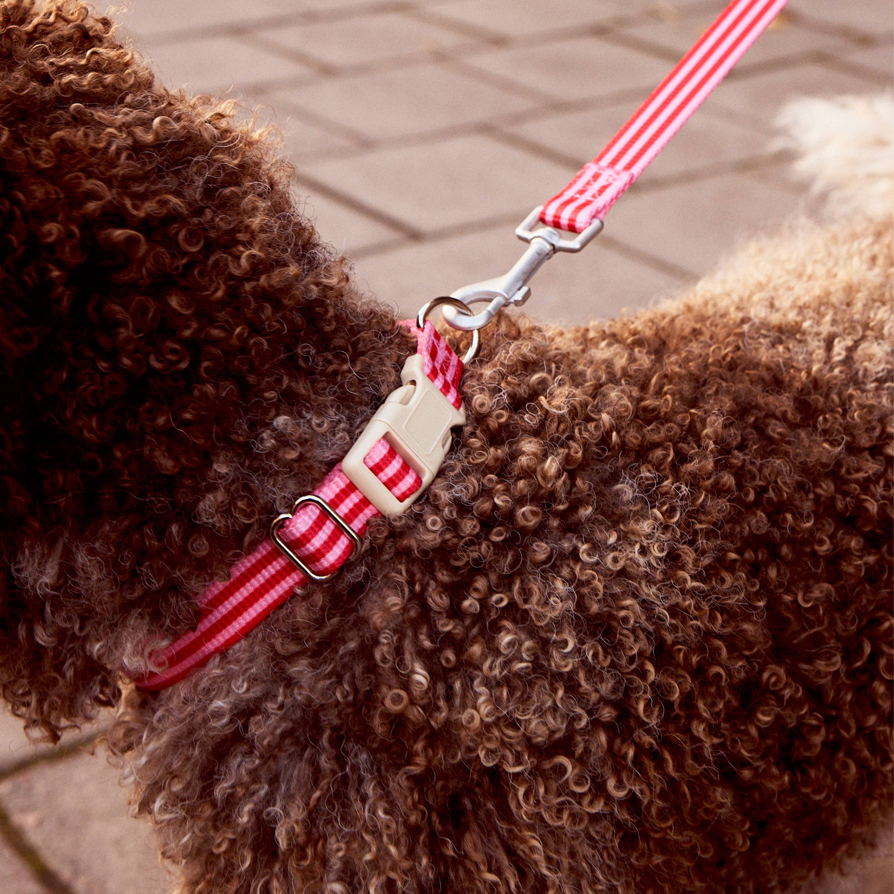 Dog Collar Striped Pink & Red
