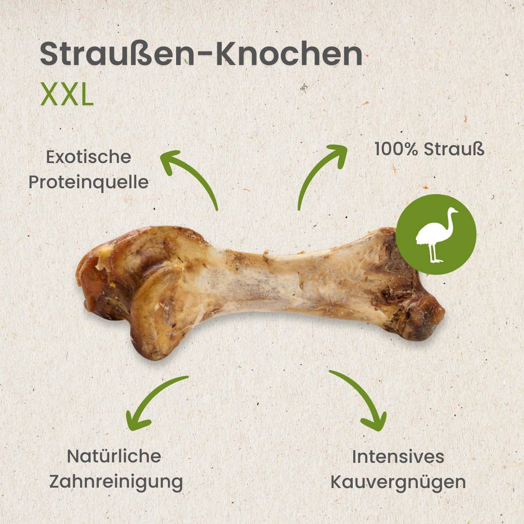 Ostrich bone XXL (1 piece)