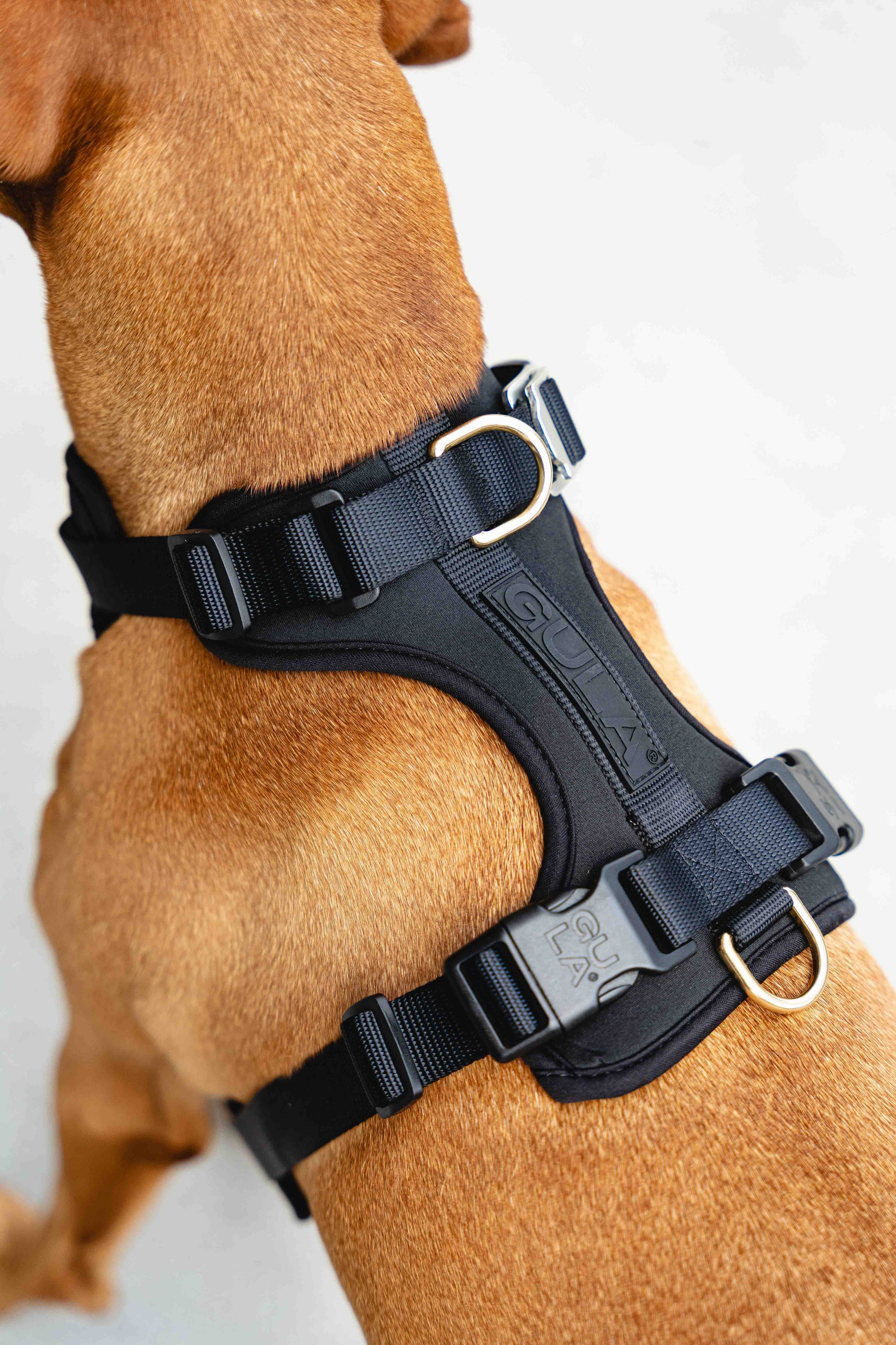 Dog Harness NEW - All Black