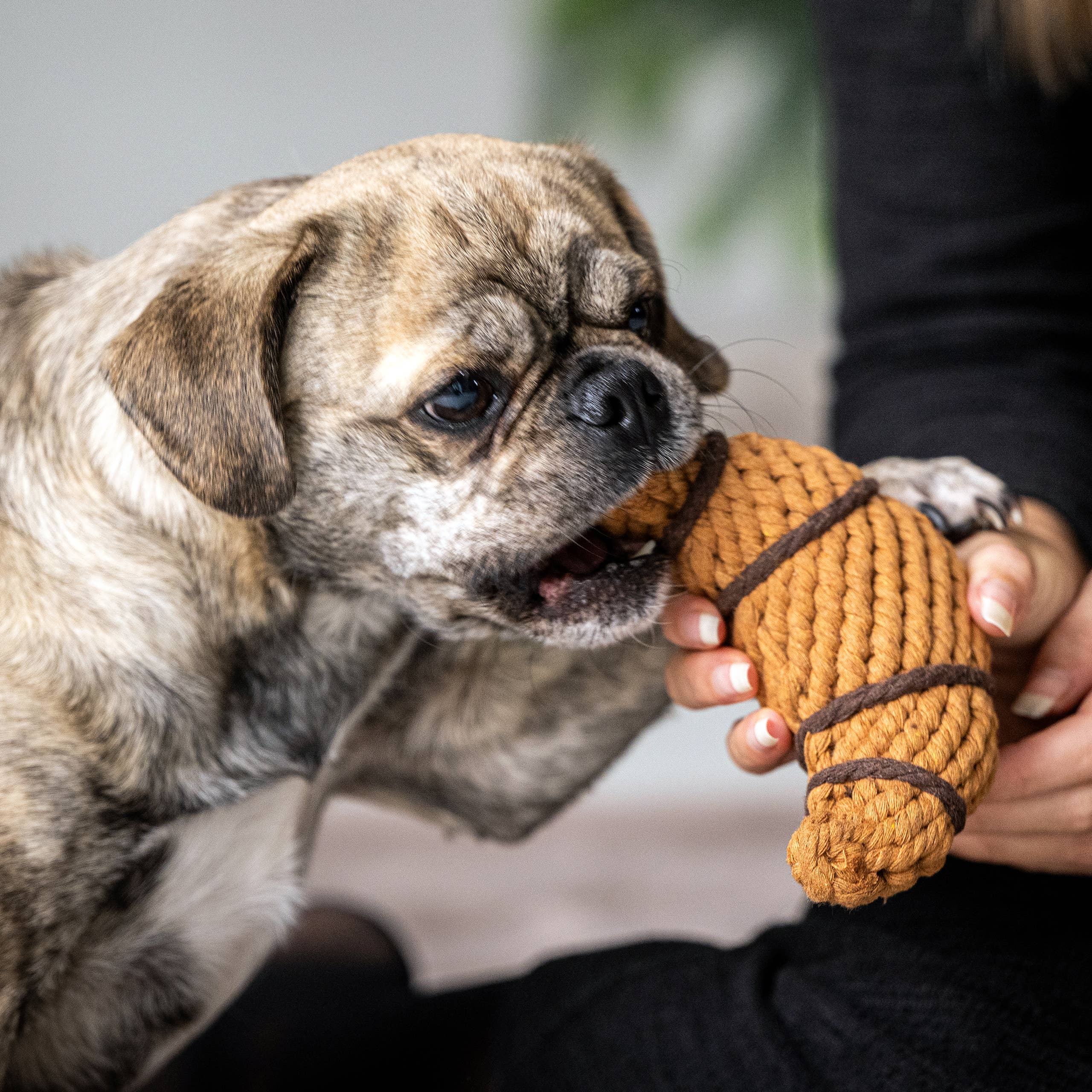 Croissant rope toy