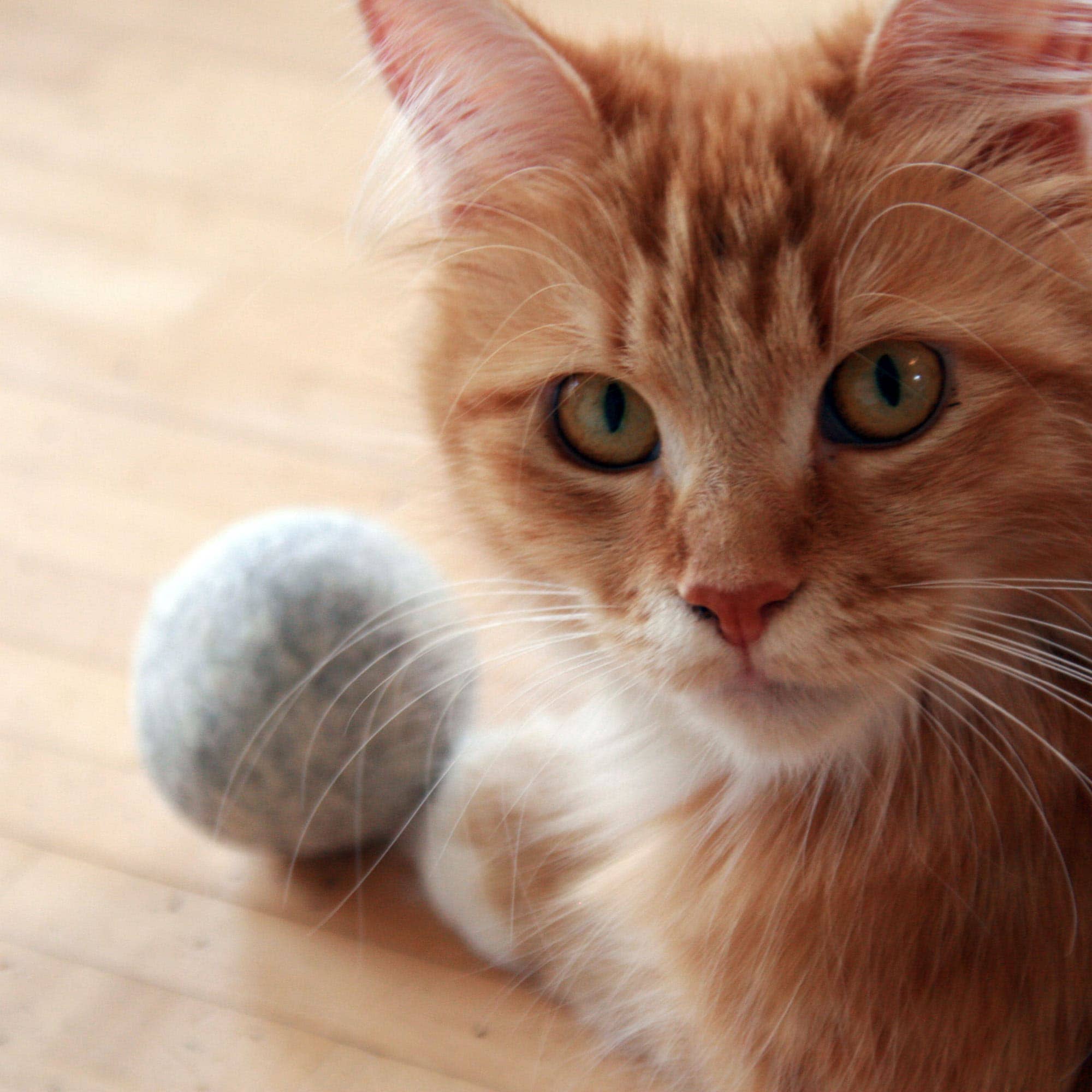 MINT BALL felt ball with catnip