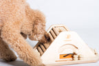 Pyramid - challenging and stimulating dog game