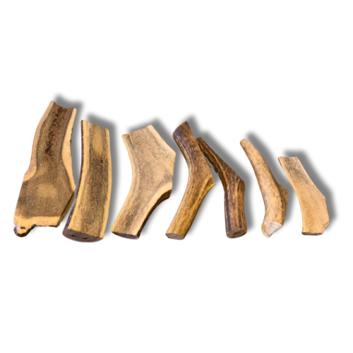 Sliced deer antler: S