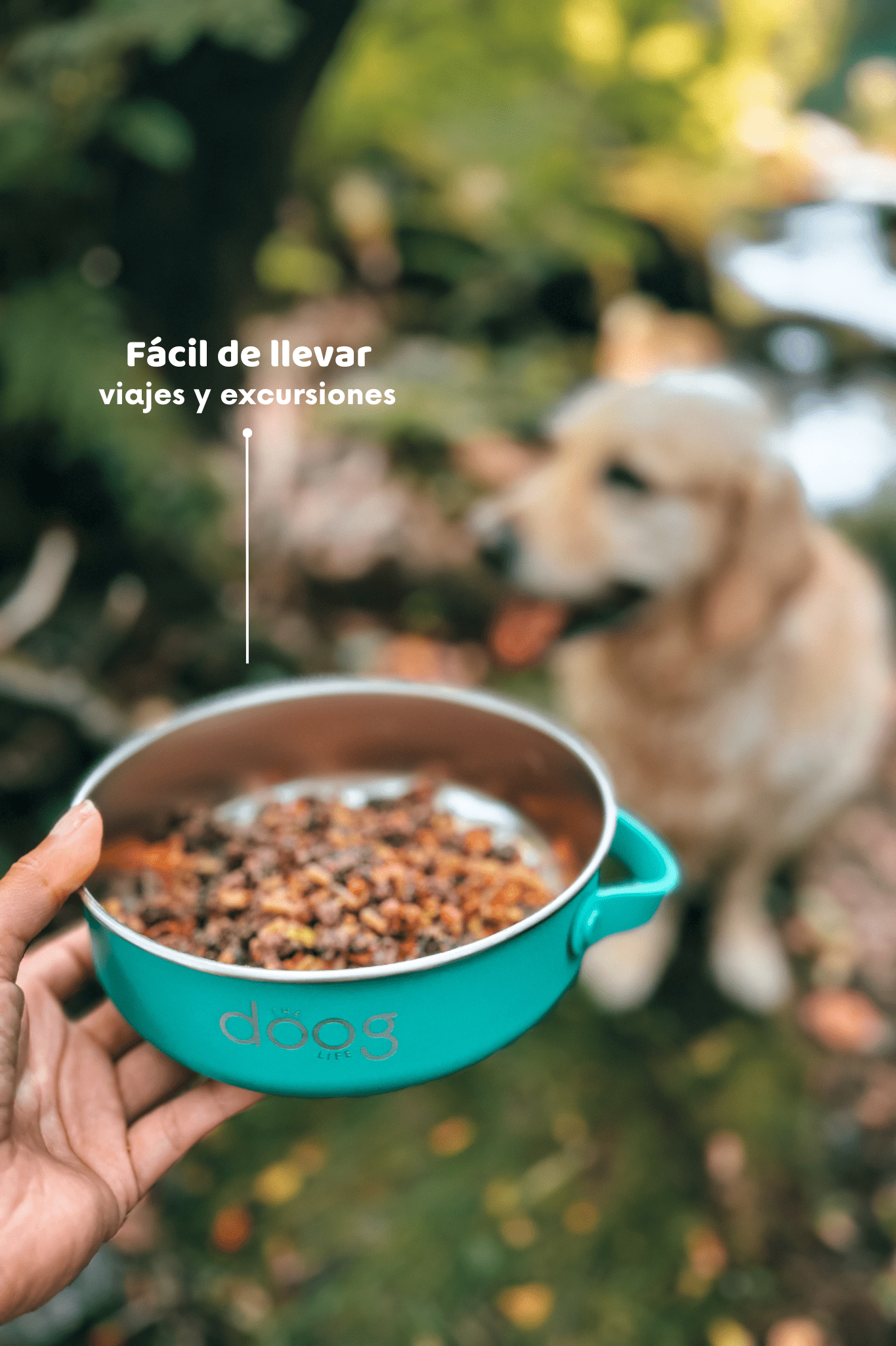 Portable food & water bowl