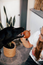 Rubber Ball Dog Toy - S/M/L