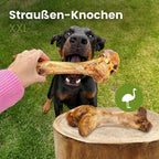 Ostrich bone XXL (1 piece)