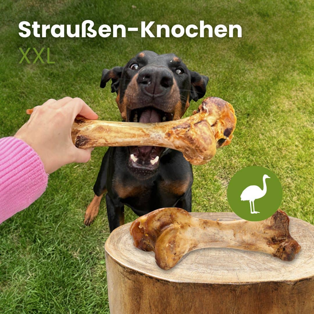 Ostrich bone XXL (1 piece)