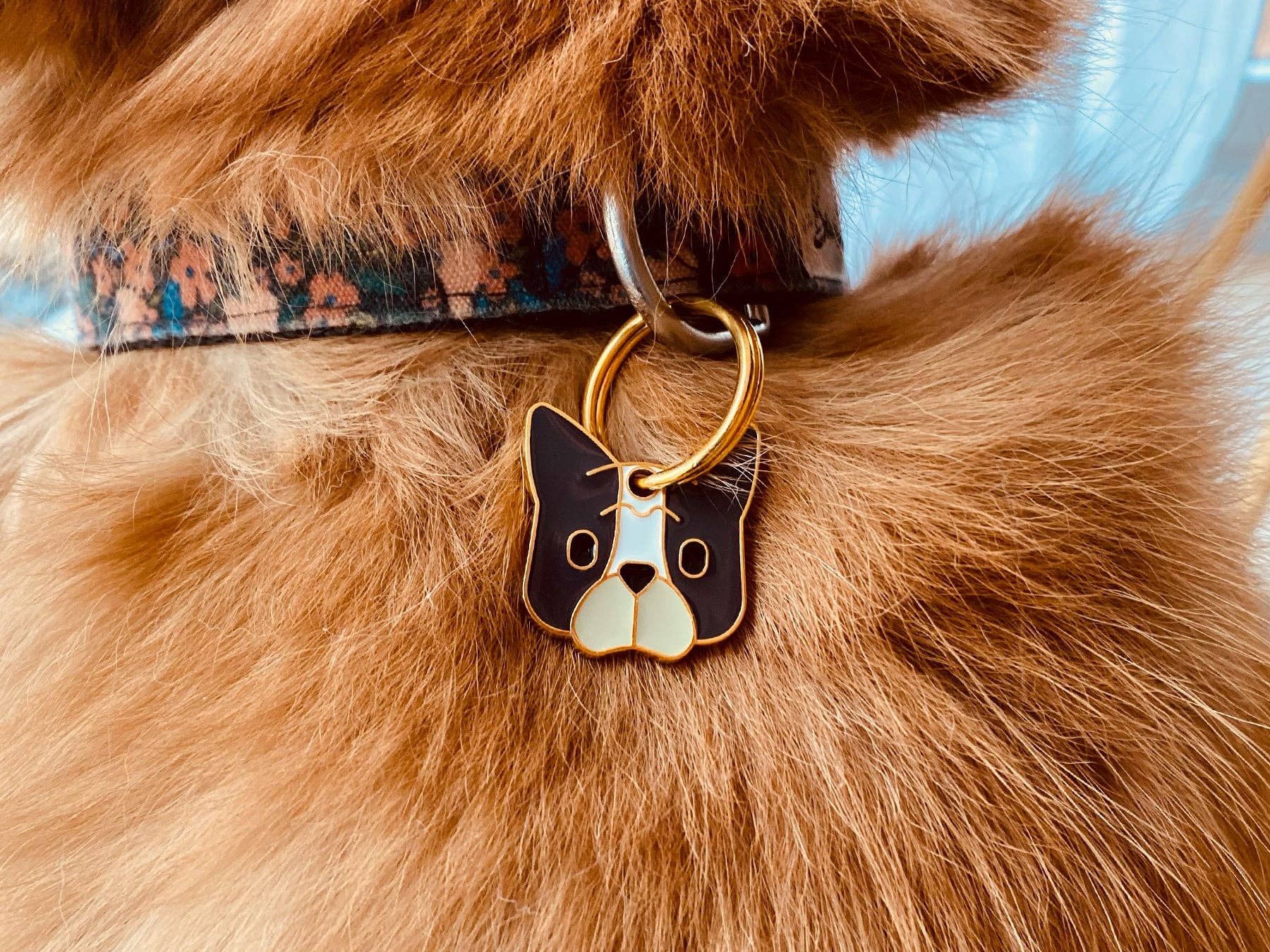 Bulldog medal for dog