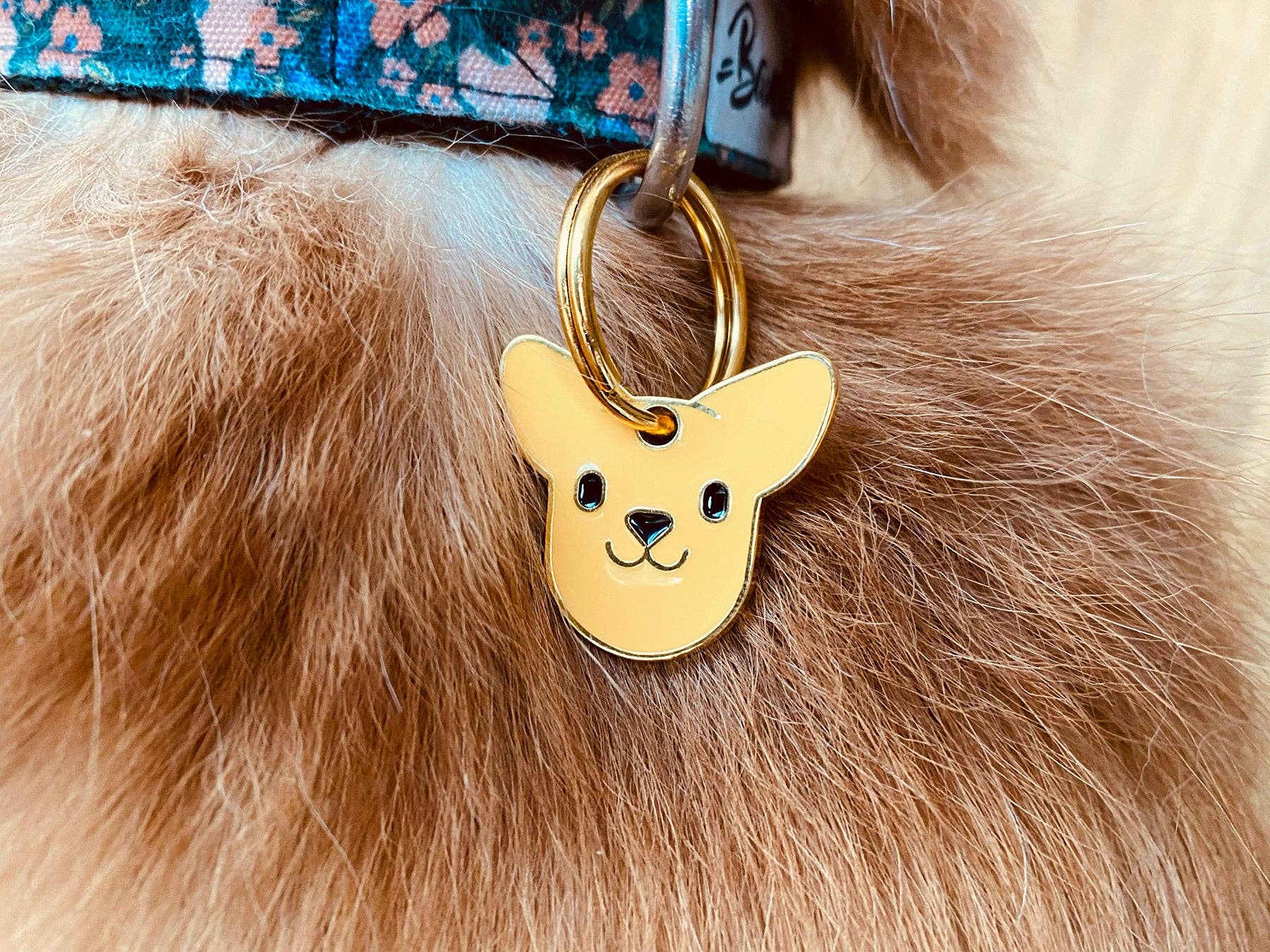 Chihuahua medal for dog