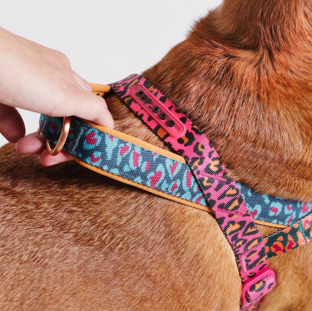 Norwegian Harness Softer-Walk Farm Rio Selva