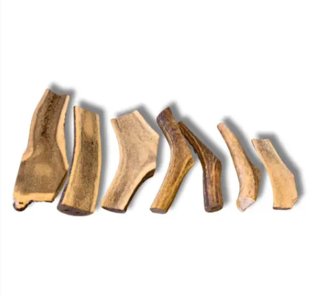 Sliced deer antler: M