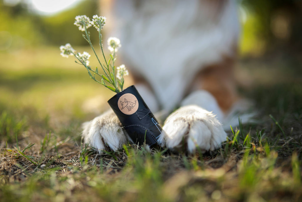 Biodegradable Dog Waste Bags x 8 (with handles)