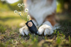 Biodegradable Dog Waste Bags x 8 (with handles)