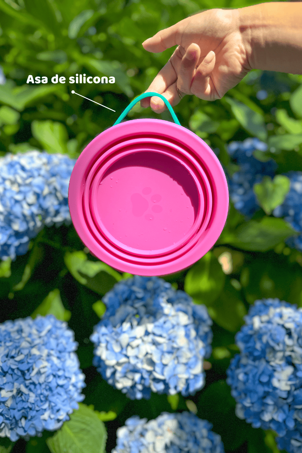 Portable food & water bowl