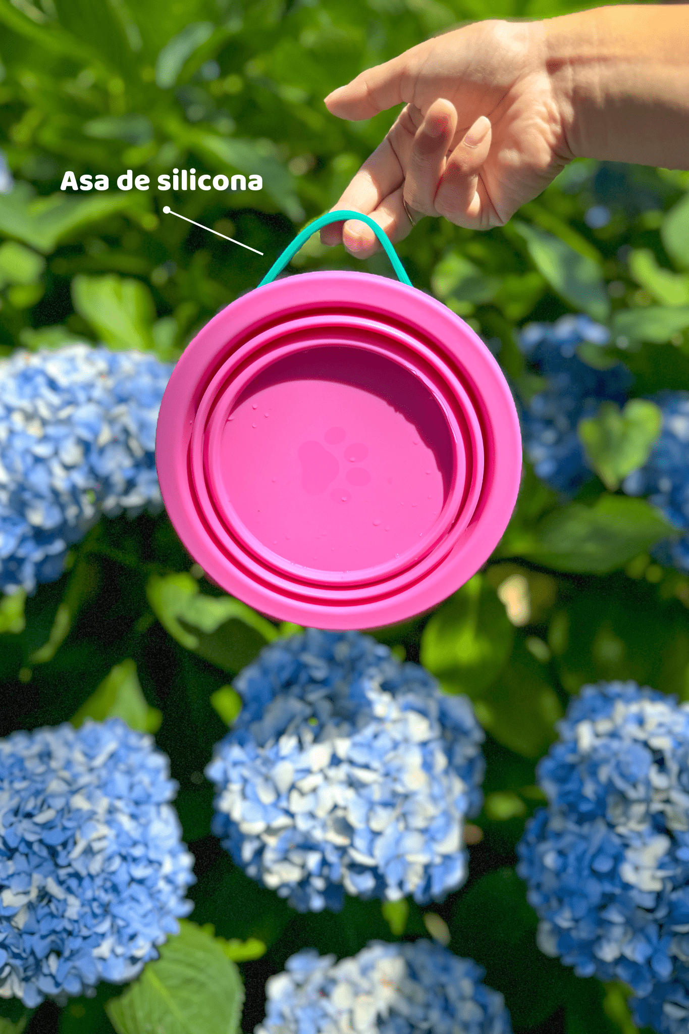 Portable food & water bowl