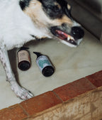 Vegan dog shampoo