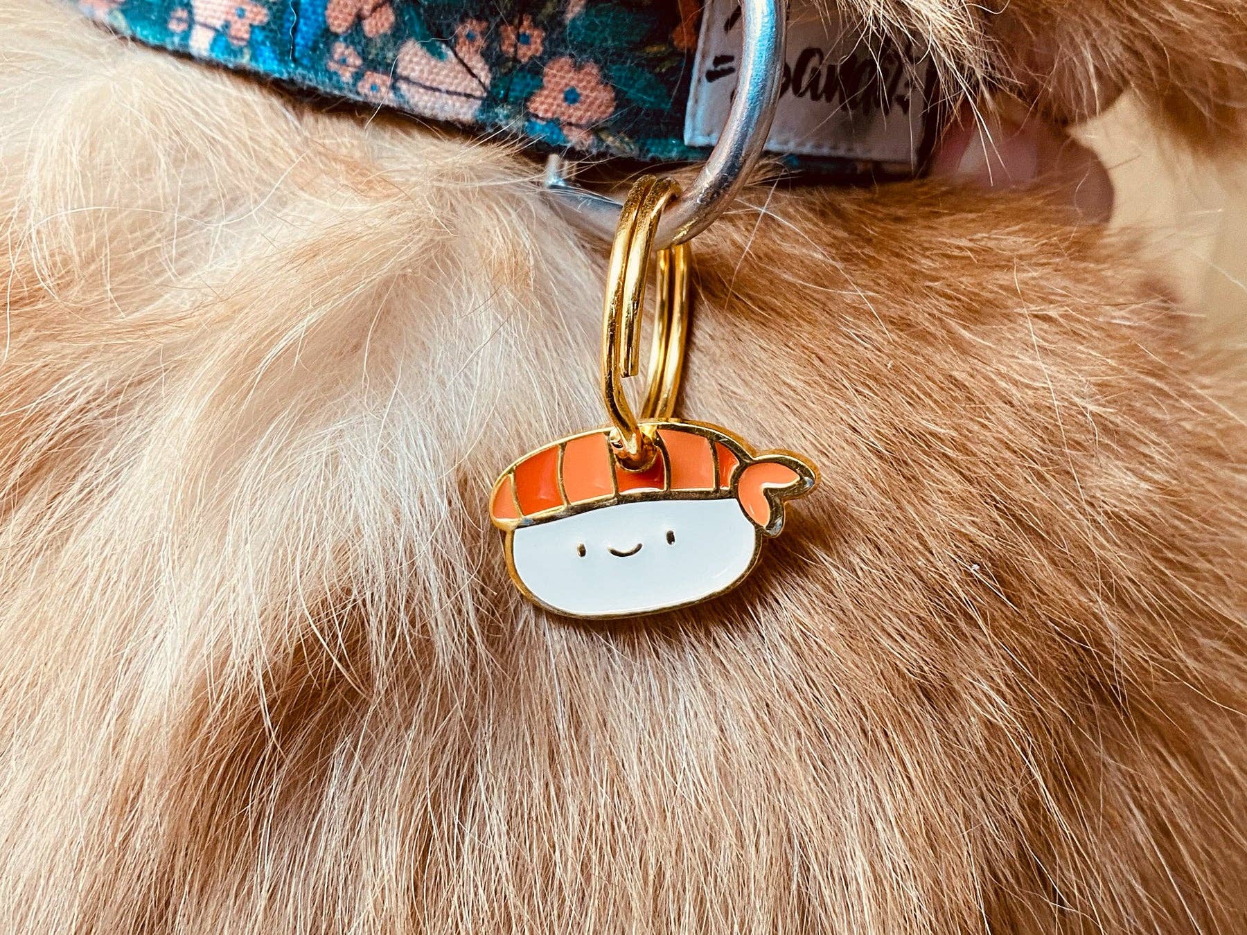 Sushi medal for dog