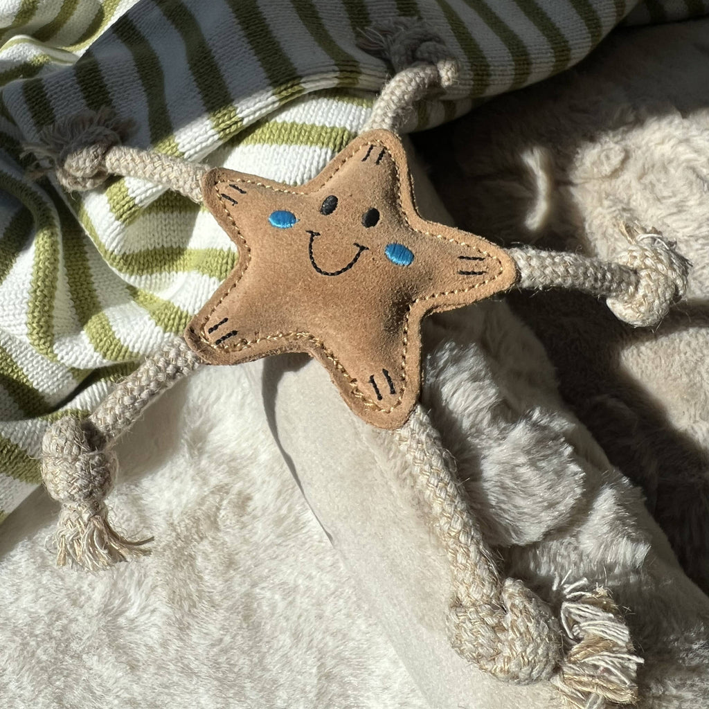 Stellina Summer Edition for small dogs ⭐