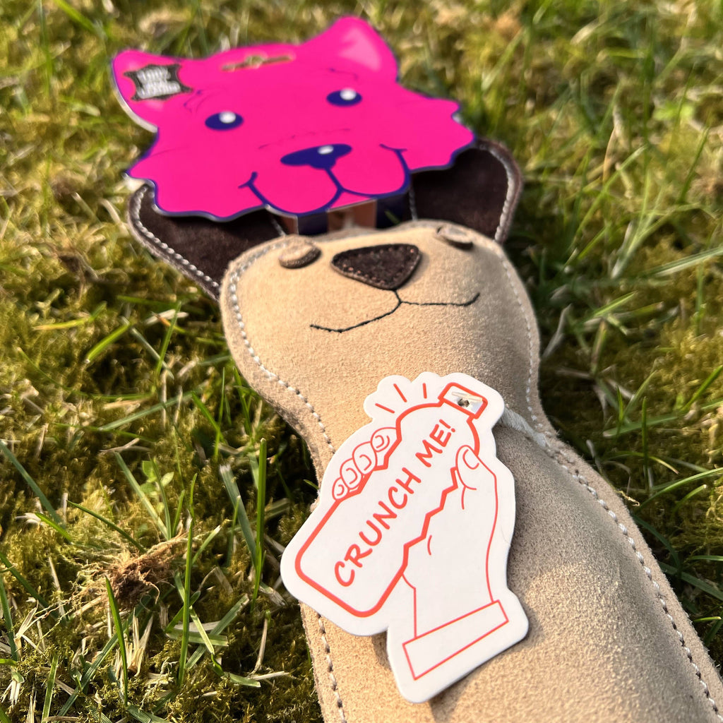 Dog toy with bottle inside - DOG 🐕