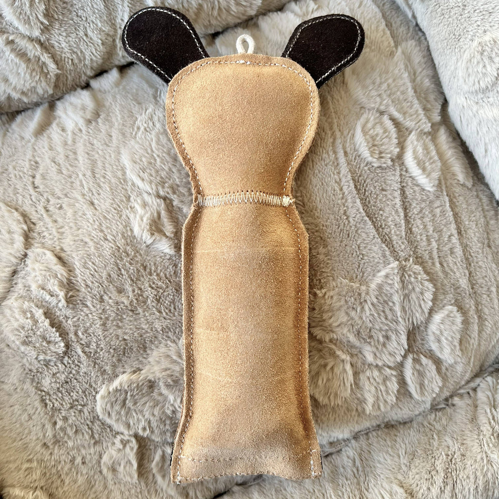 Dog toy with bottle inside - DOG 🐕