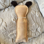 Dog toy with bottle inside - DOG 🐕