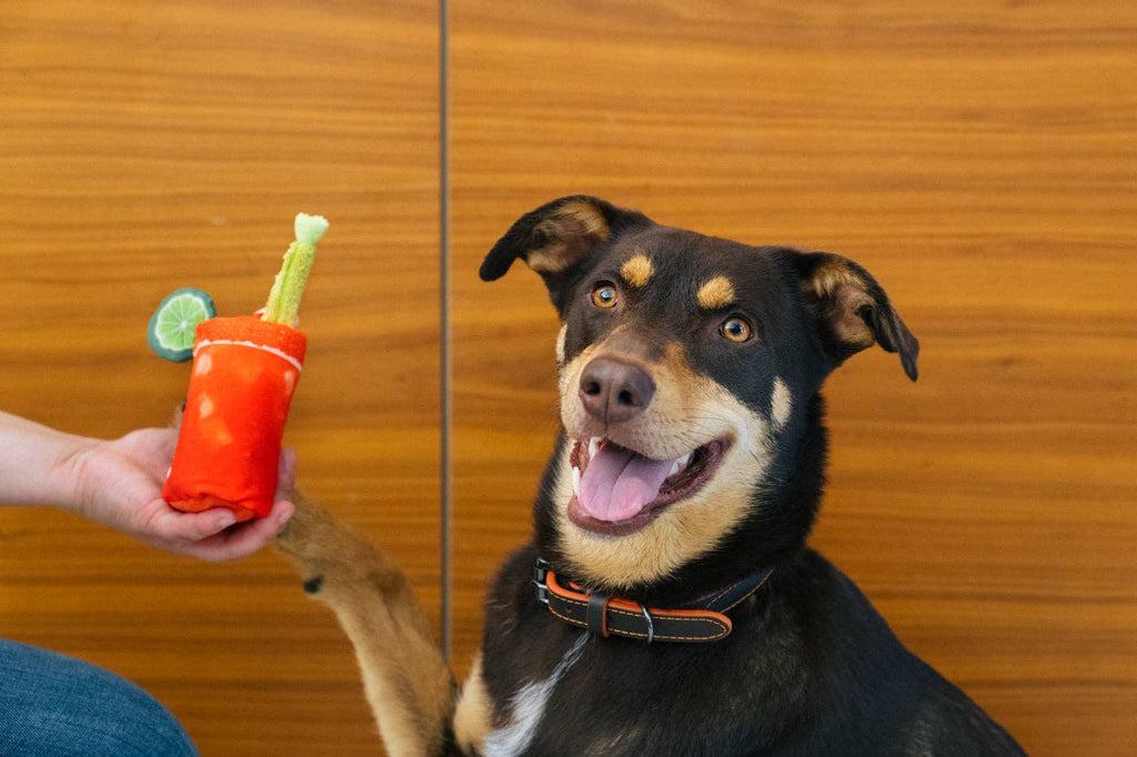 Barking Brunch Buddy Mary toy