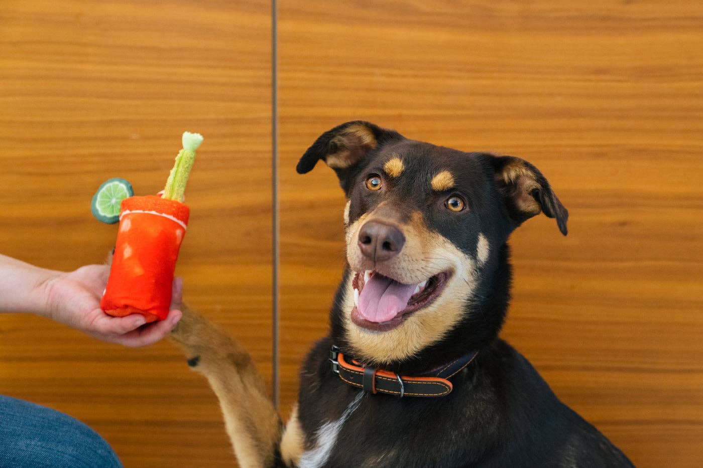 Barking Brunch Buddy Mary toy