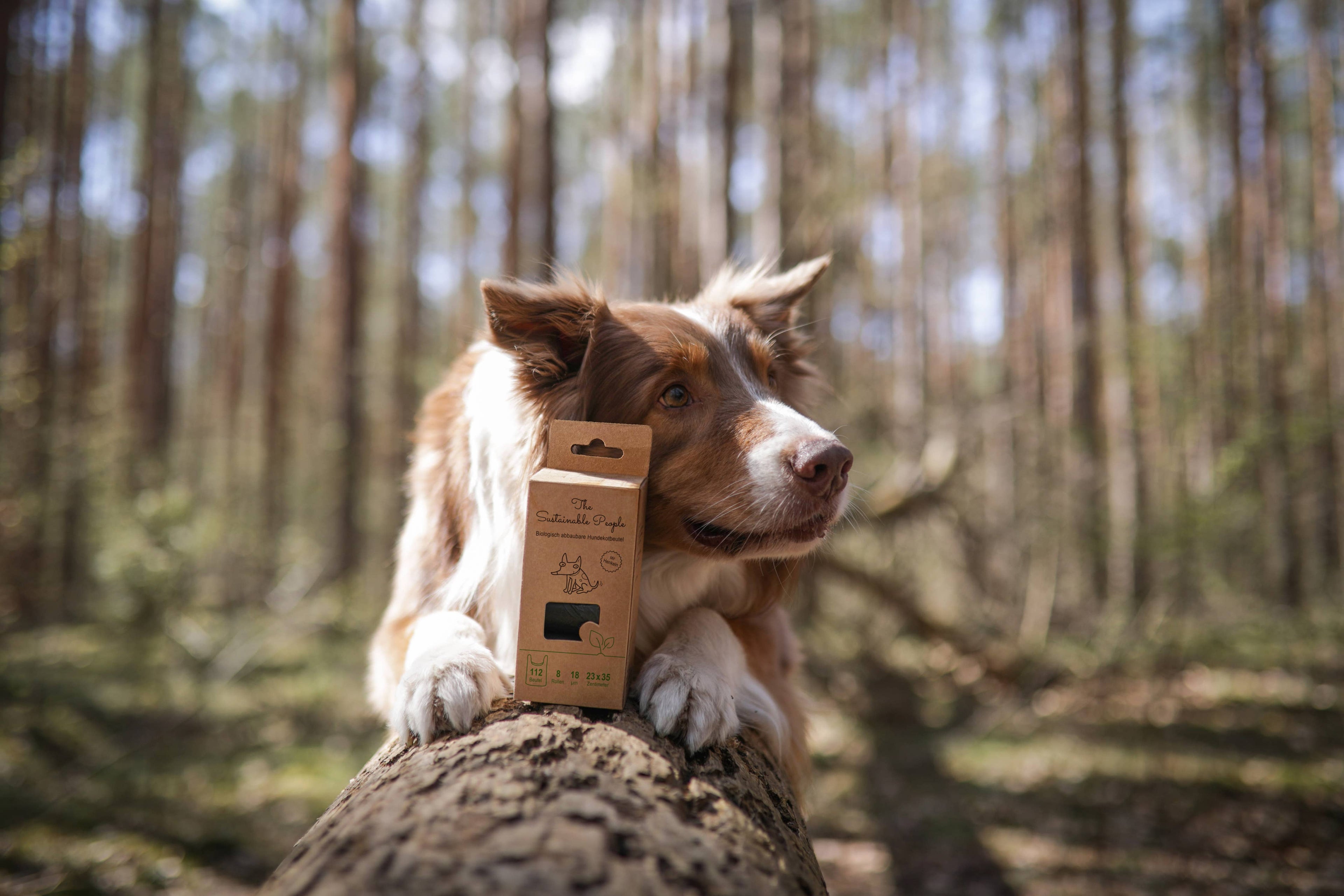 Biodegradable Dog Waste Bags x 8 (with handles)