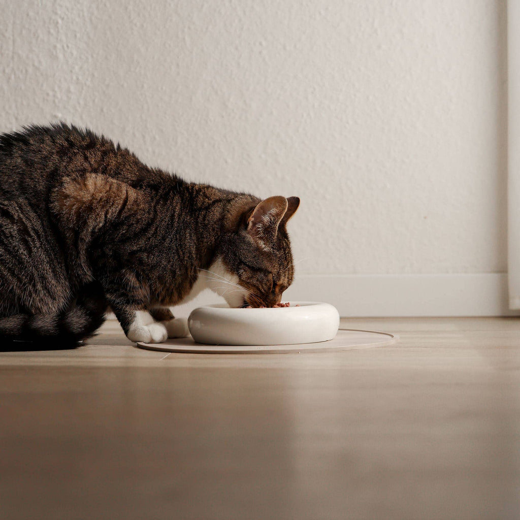 DROP cat bowl