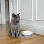 MYCO cat bowl