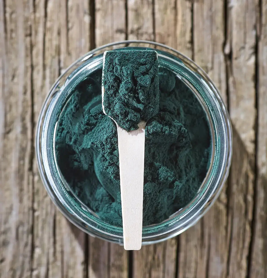 Natural supplement for dogs and cats - Spirulina Powder