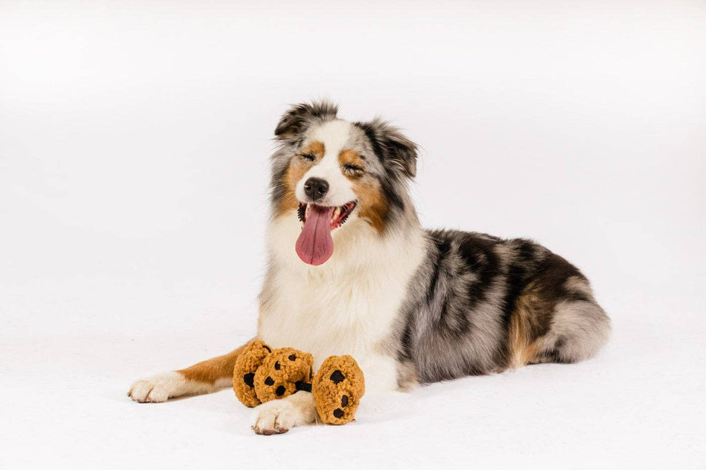 P.L.A.Y Pup Cup Cafe Cookies n’ Treats