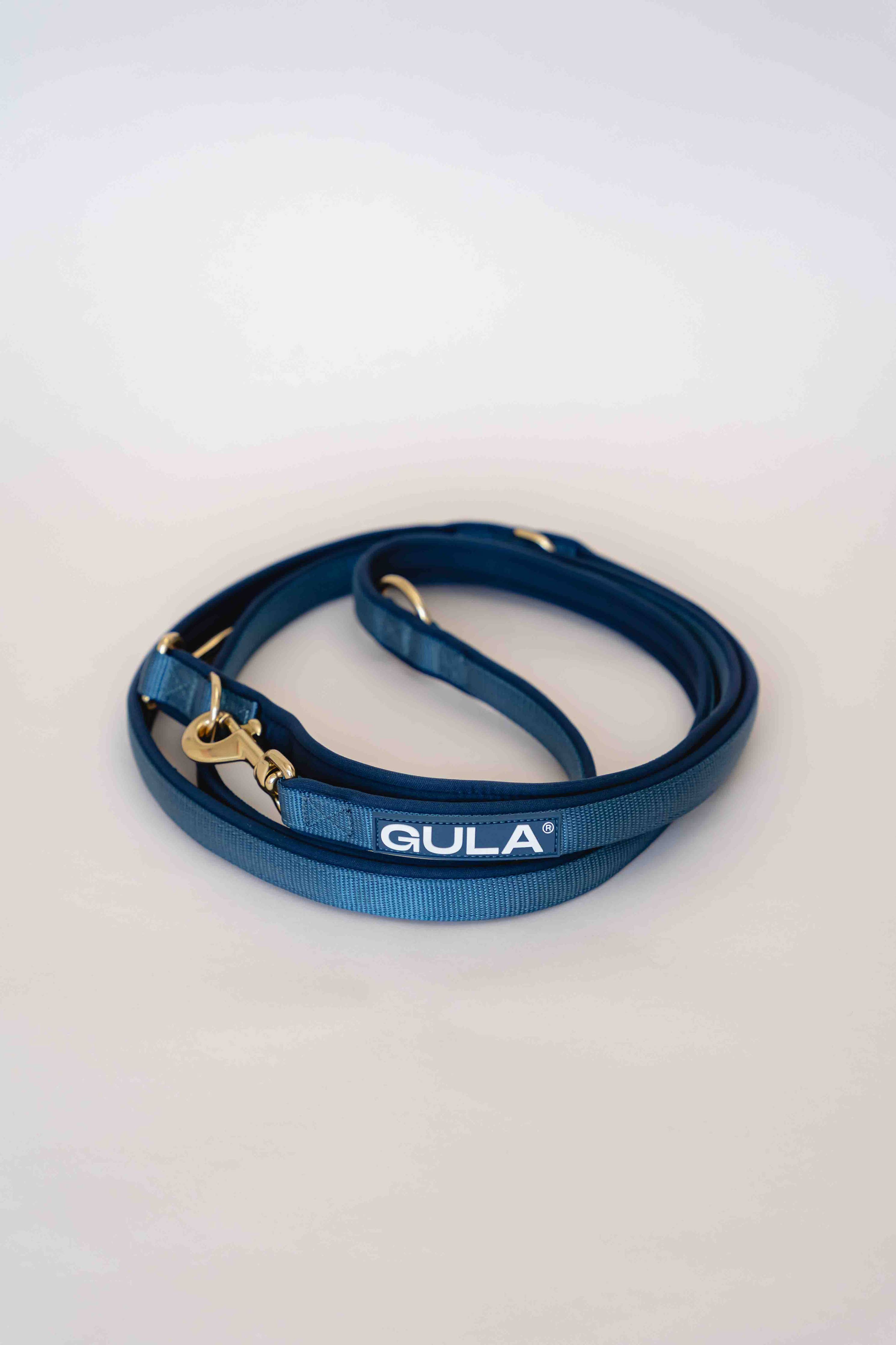 Dog Leash (Air-layer fabric) - Blue