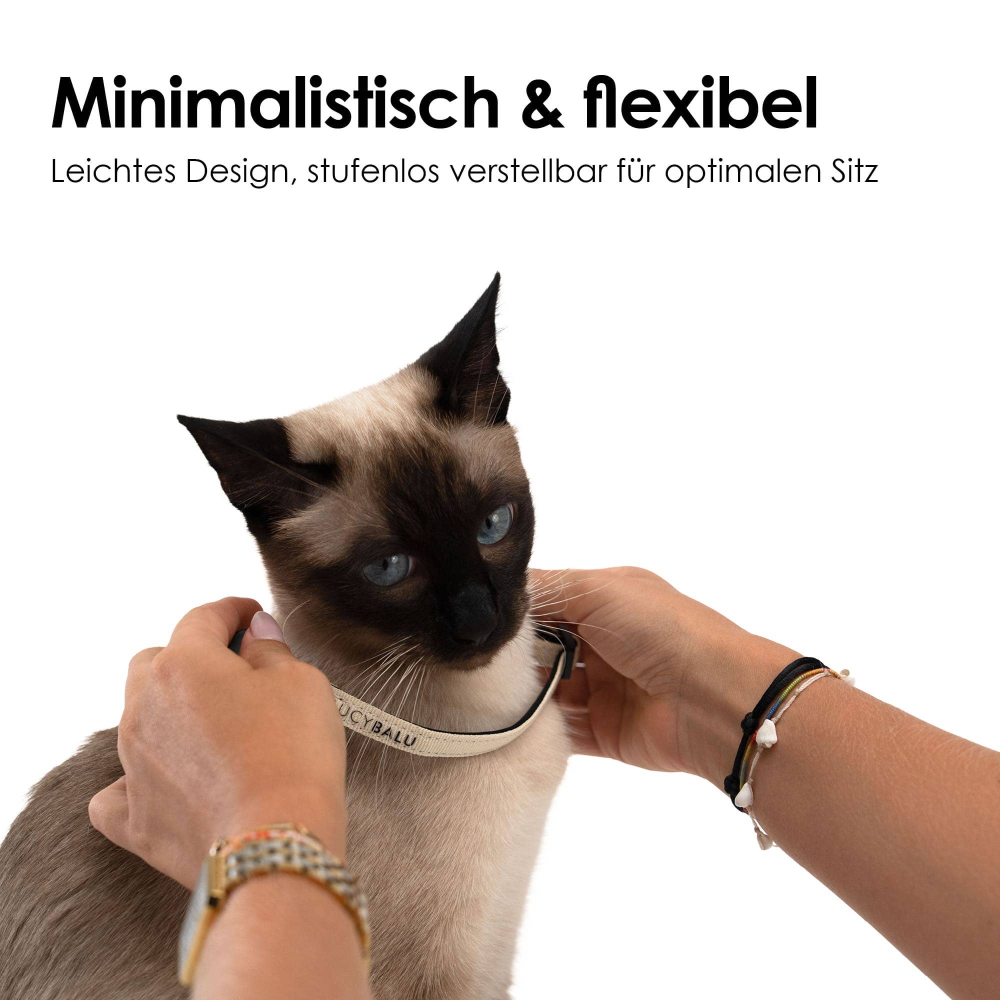 WILLY cat collar with name capsule