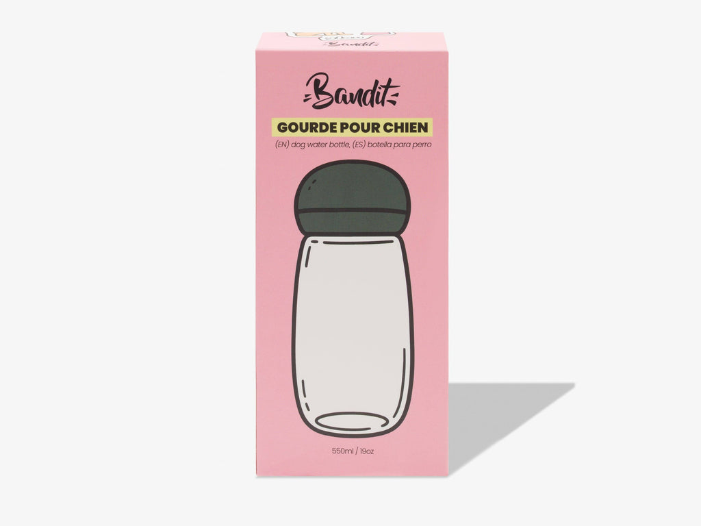 Dog water bottle