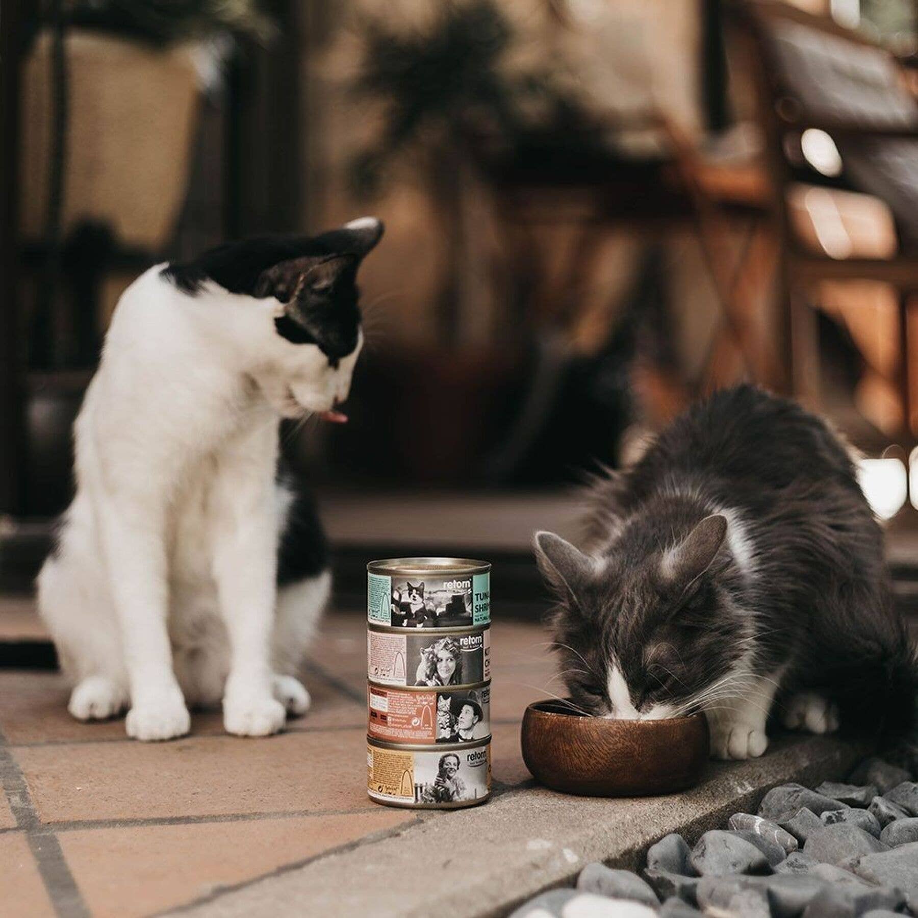Tuna with Salmon can for cats (80g) by Retorn