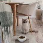 MYCO cat bowl