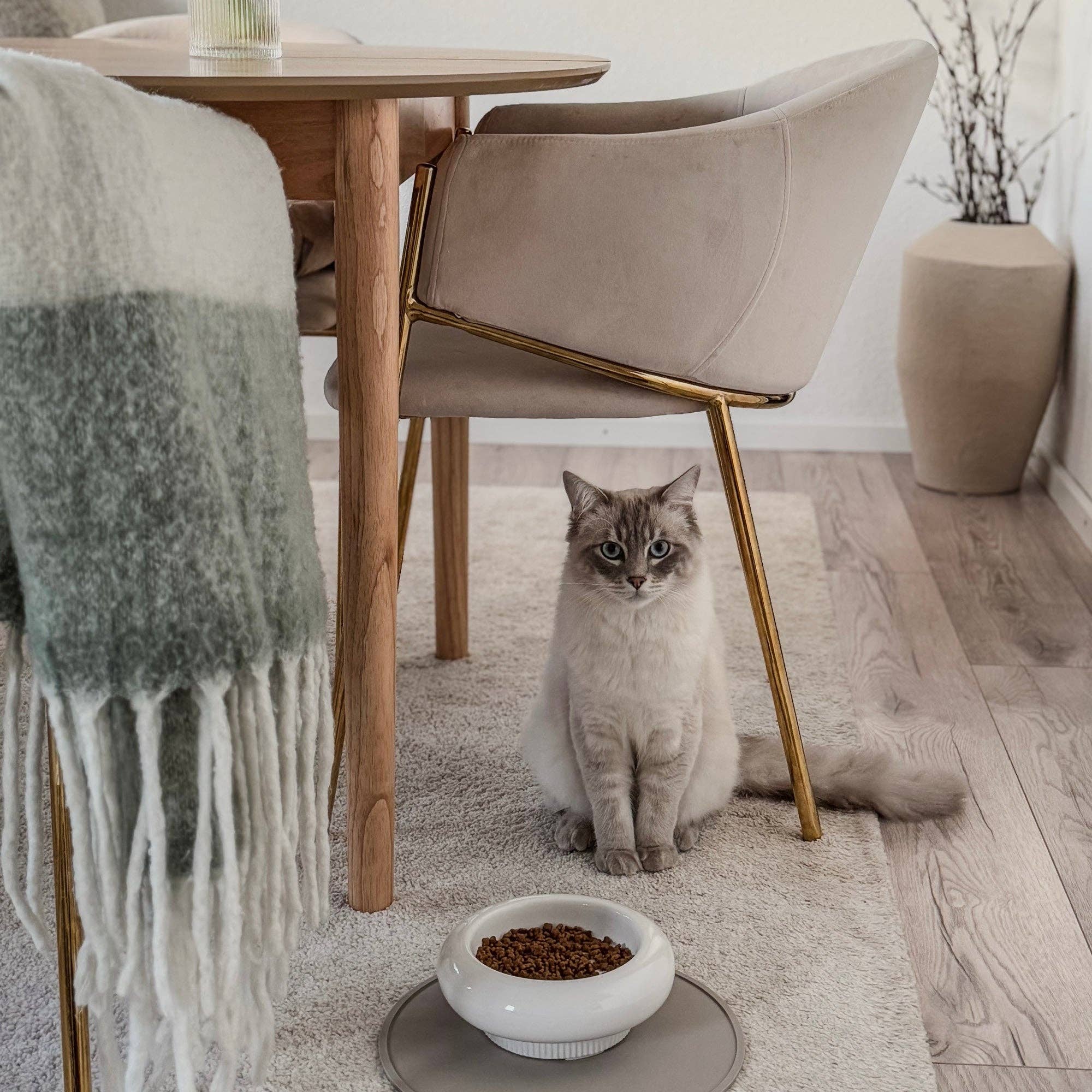 MYCO cat bowl