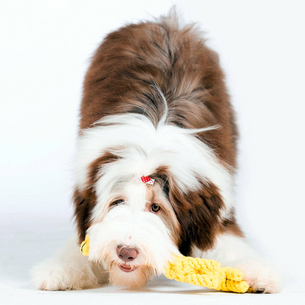 Greta Giraffe rope toy