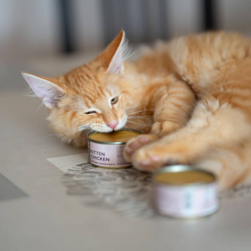 Chicken can for kittens (80g) by Retorn