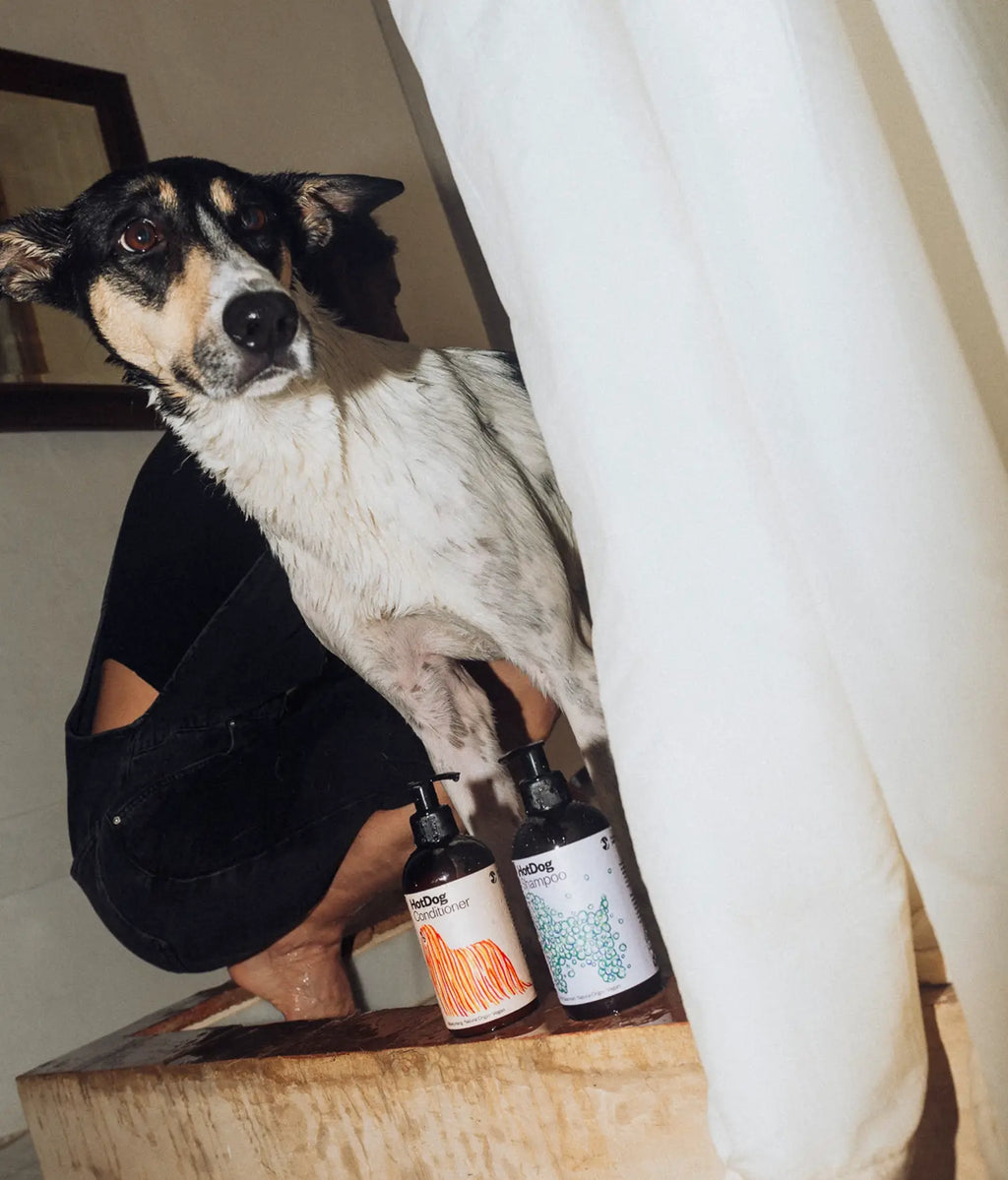 Vegan conditioner for dog