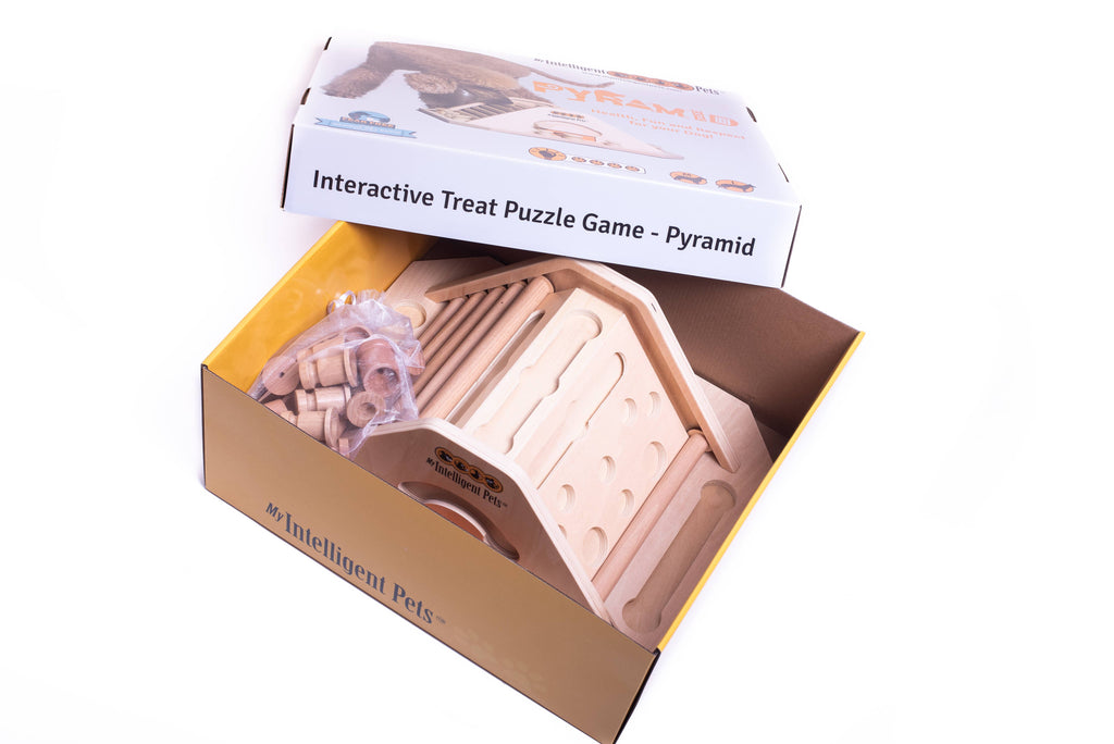 Pyramid - challenging and stimulating dog game