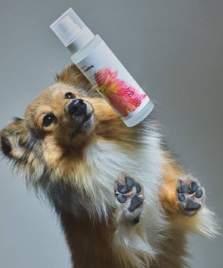 Dog Mist - Mid/night 00.00 x HotDog