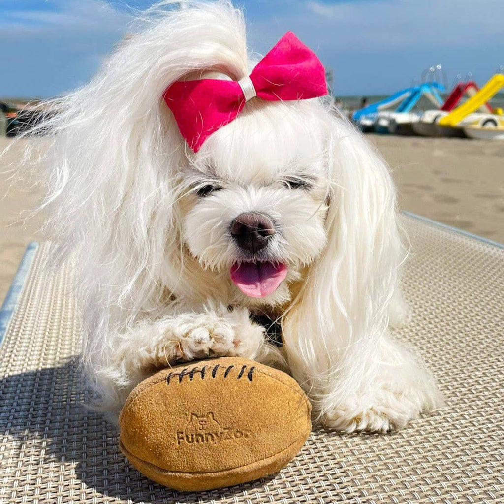 COCCO BALL in suede 🏈