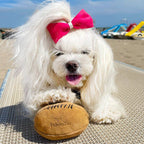COCCO BALL in suede 🏈