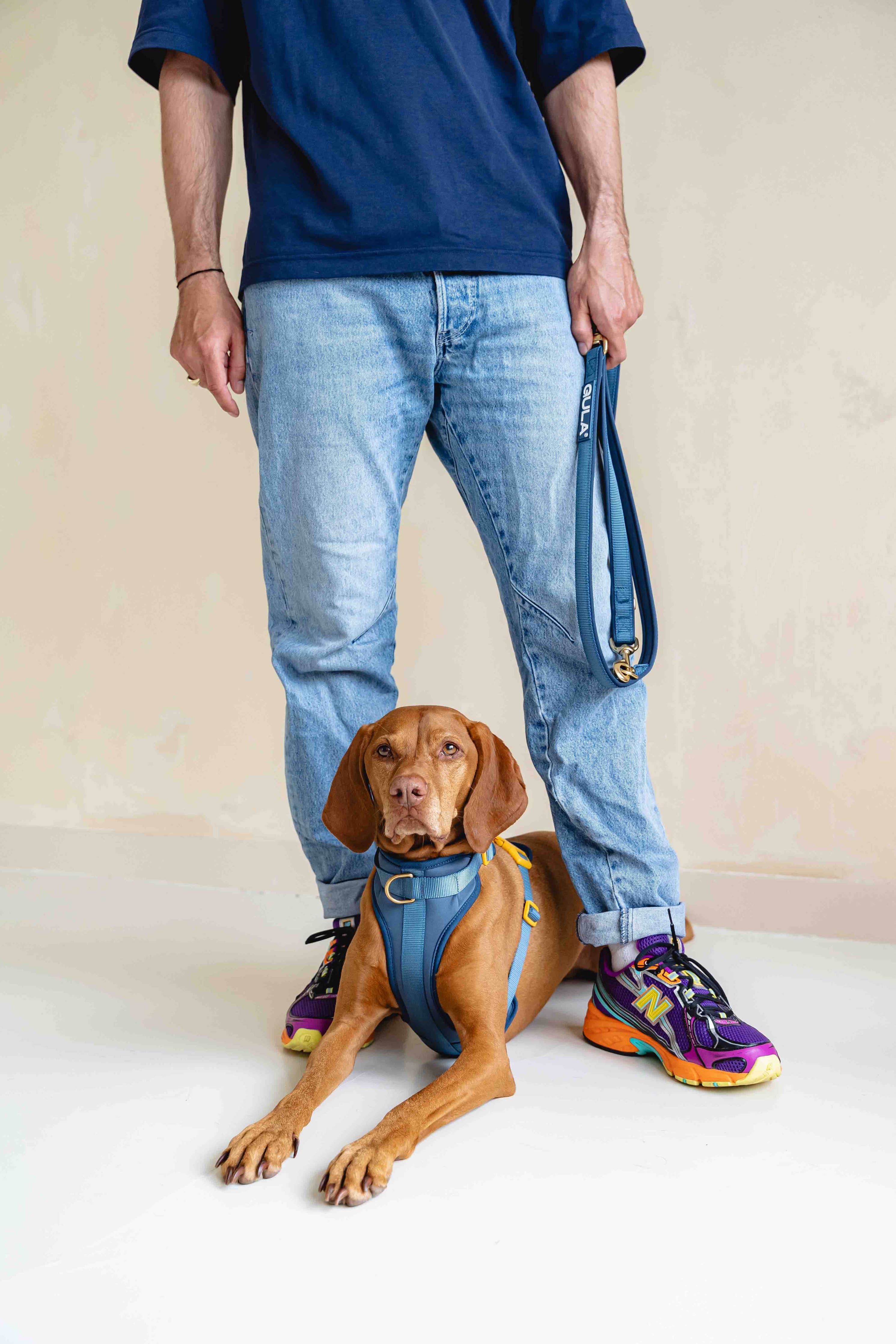 Dog Leash (Air-layer fabric) - Blue