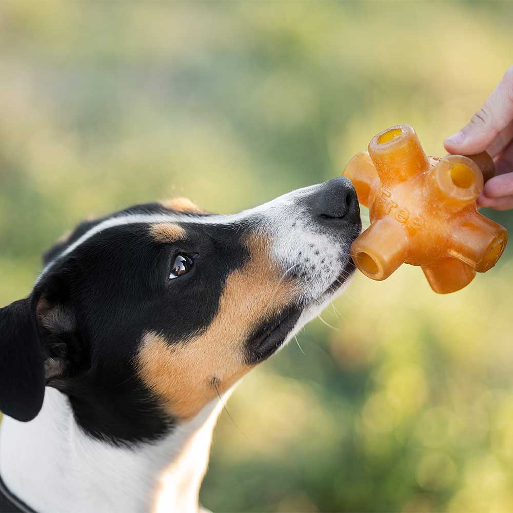 Natural Rubber Free Jump Dog Toy