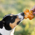Natural Rubber Free Jump Dog Toy
